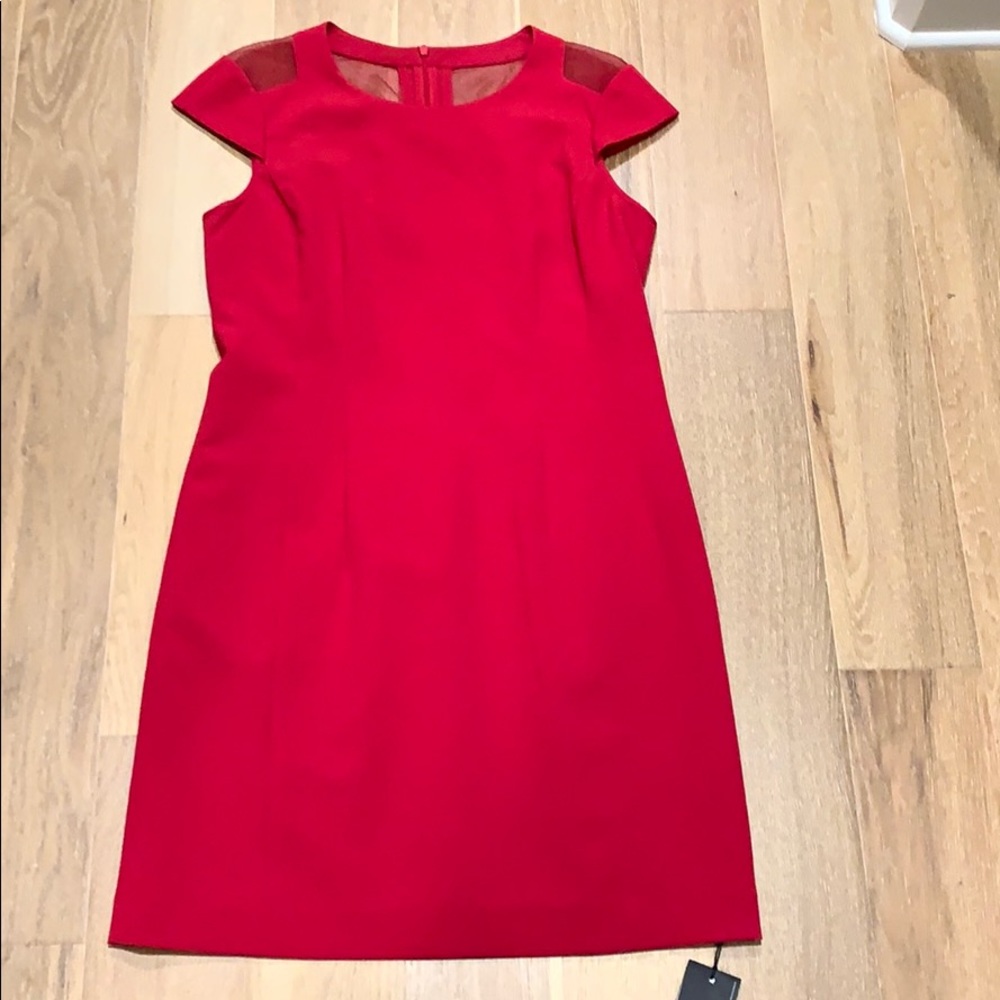 Dress size 10 Armani Exchange (Dillard’s)